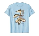 Looney Tunes Wile E. Coyote X-Ray T-Shirt