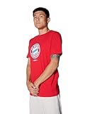 FC Bayern München I T-Shirt Essential I Herren I Rot I L