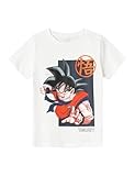 NKMJIMMO Dragonball SS TOP Box NOOS VDE