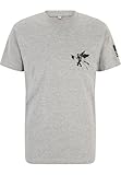 MERCHCODE Herren Linkin Park flag te T shirt, Heather Grey, M EU