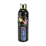 SpongeBob Trinkflasche aus Edelstahl, 700 ml, SpongeBob und Patrick beim Seifenblasen, Offizielles Merch, Ideale Geschenkidee