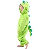 LOLANTA Kinder Grün Dinosaurier Kostüm, Kinder Tier Flanell Strampler Overall, 2-3 Jahre, Grün, Etikettengröße S