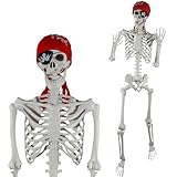 165 cm Halloween bewegliches Skelett, lebensgroßes Skelett, Ganzkörper-Kunststoffknochen mit beweglichem Gelenk für Halloween-Party, Friedhofs-Dekorationen
