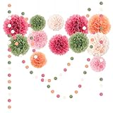 NICROLANDEE Seidenpapier Pompons Deko 15 Stück, BLÜHEN Tissue Papier Pom Poms und Dots Papier Girlande, Party Dekorationen für Hochzeit, Babyparty Deko, Abschlussball, Geburtstag, Gartenparty deko