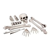 Boland 72157-Set Totenkopf und Knochen, 12-teiliges Deko-Set, Skelett-Bausatz, Dekoration für Halloween, Gruselparty, Karneval, Mottoparty