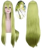 HOWGARI Anime Coser Wig Fate/Große Bestellung, Cosplay, Wurf, Enkidu 100 cm, grün, lang, synthetisch, Cosplay, Perücken, Friseure, große Halloween, Party Play Wigs+Perückenkappe