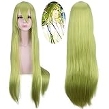 WHBHD Anime Coer Wig. Fate Grand Order Lancer Enkidu Lange Perücke Cosplay Kostüm Fate Extra Hitzebeständige Synthetische Haar Männer Frauen Cosplay Perücken 099-41
