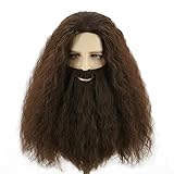 Topcosplay Perücke & Bart Herrenperücke Cosplay Perücke Lang Braun Perücke Halloween Karneval Zauberer Perücken (Braun)