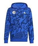 adidas Replicas - Sweatshirts - National FC Schalke 04 Camlog Hoody Kids blau 140