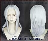 Die Drachenprinzen Rayla Perücken 60Cm Silber Weiß Curly Synthetic Cosplay Kostüm Perücken + Perückenkappe Als Das Bild