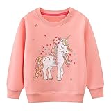 Codkkre Sweatshirt Mädchen Pullover für Kinder Süß Cartoon Sweater Mädchen Langarmshirts aus Baumwolle Alter 2-7 Jahre, 116, Stil 3