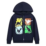 Codkkre Kapuzenjacke Jungen Sweatjacke Kinder Jungs Zip Up Hoodie Jungen Dino Kapuzenpullover mit Reißverschluss 2-11 Jahre, Stil 4, 134