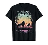 Disney Lion King Best Friend Trio Colorful Sunset Silhouette T-Shirt