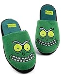 Rick und Morty Mens Pantoffeln Erwachsene Pickle Rick Green House Sliders