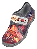 Beck Prehistoric