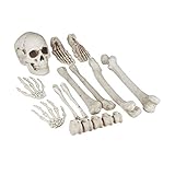 Relaxdays Dekoknochen, 12 TLG Set, Halloween, Außen & Innen, Knochen, Totenschädel & Skeletthände, Horror Deko, XXL, 100% Kunststoff, weiß, Standard