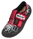 Beck Spider