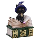 Nemesis Now Binx Small Witches Familiar Black Cat and Spellbook Figurine Box, Vinylharz, grün, 11 cm
