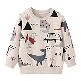 EULLA Kinder Jungen Sweatshirt Pullover Activewear Langarm Baumwolle Dinosaurier Herbst Winter Oberteile 4 Jahre alt 4# Grau Dinosaurier DE 104