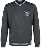 Harry Potter Herren Mehapompu041 Pullover, anthrazit, L