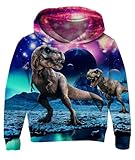 Fanient Pullover Jungen Mädchen Fleece Pullover 3D Print Dinosaurier Pullover Sweatshirts Kapuzen Pullover 6-7 Jahre,L