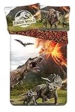 Theonoi Set 2 teilig Bettwäsche Bettbezug Wendebettwäsche 135x200 80x80 Baumwolle · Kinderbettwäsche Öko-Tex Standard Deutsche Standardgröße T-Rex Dinosaurier (Jurassic)