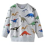 Little Hand Jungen Sweatshirt Jumper für Kinder Sweater Dinosaur Baumwolle Langarm T Shirts Pullover (2-Dinosaurier 116)