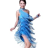 Rubruan Latein Tanz Kleider Kostüme - Latin Tänze Walzer Tango Swingtanz Party Salsa Dekoration Accessoires Pailletten Quasten Wettkampf Ball Rock Trikot Tanzkleid für Damen Mädchen