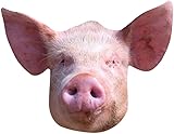STAR CUTOUTS SM443 Schweinemaske aus Karton - Amazing Talking Point - So Realistisch