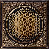 Sempiternal [Vinyl LP]